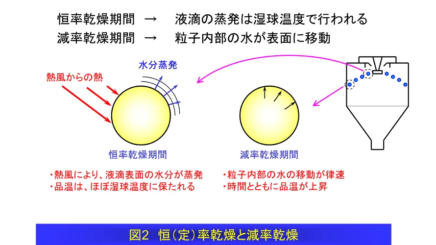 図2：恒（定）率乾燥と減率乾燥の解説図。スプレードライにおける液滴の乾燥プロセスを2段階で説明。表面の水分が蒸発する恒率乾燥（品温は湿球温度を維持）と、内部の水分が移動する減率乾燥（品温が上昇）の特徴を示している。