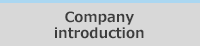 Company introduction